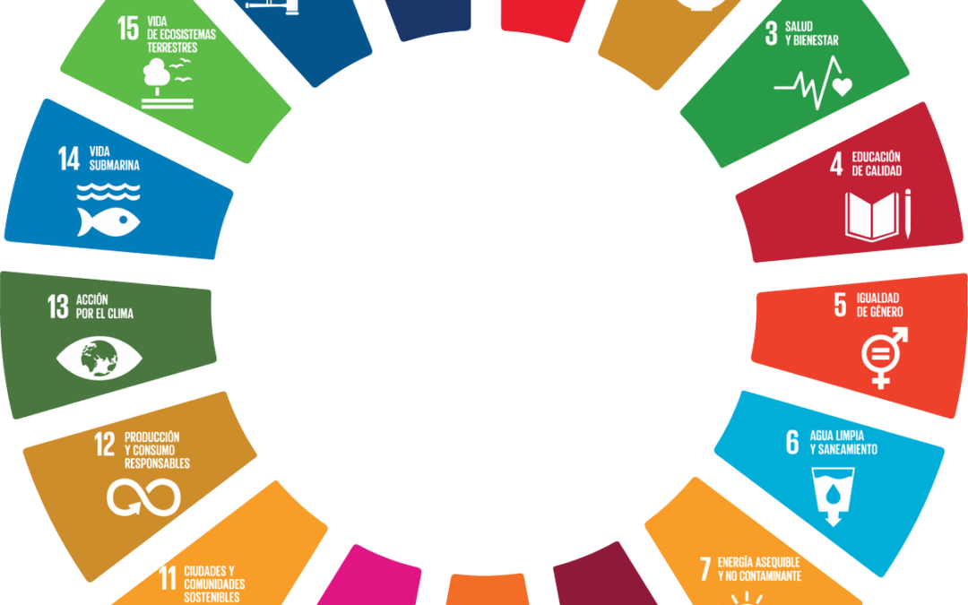 Un mundo sostenible: nuestra alianza con los ODS